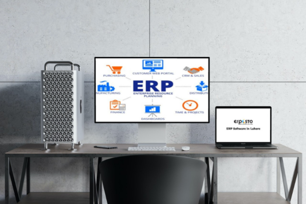 Guide to ERP Software in Lahore Pakistan in Your Business