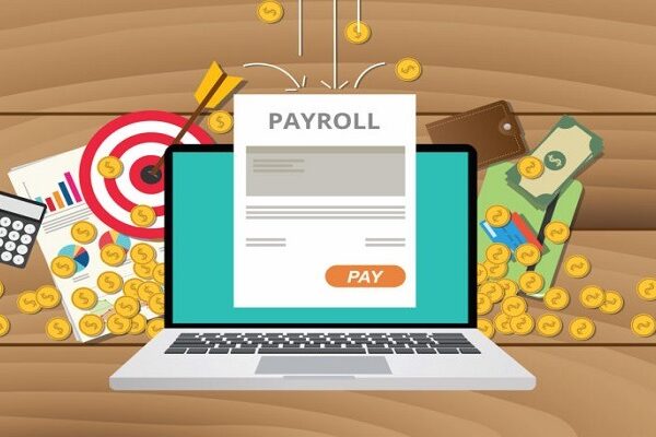 Duties of Payroll Software Administrator in Pakistan