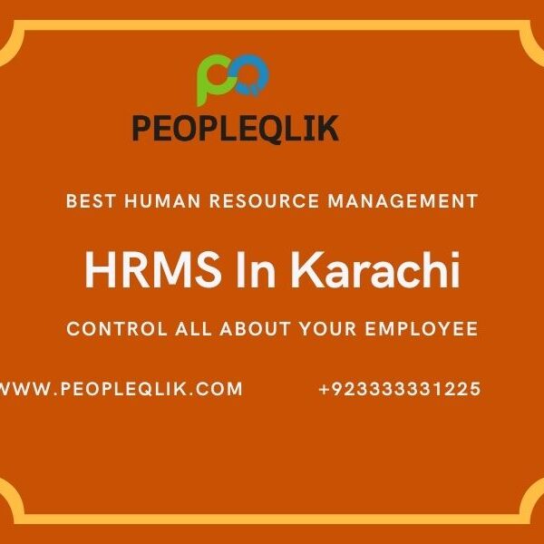 Reports For Business Decision In Payroll Software And HRMS In Karachi