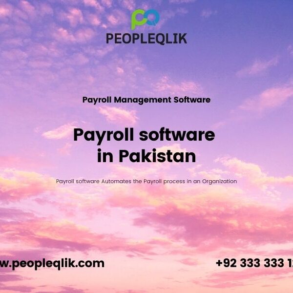 Payroll software in Pakistan