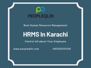 Reports For Business Decision In Payroll Software And HRMS In Karachi